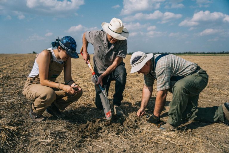 Read more about the article Regenerative agriculture’s biggest developments in 2024 — and what they mean for 2025