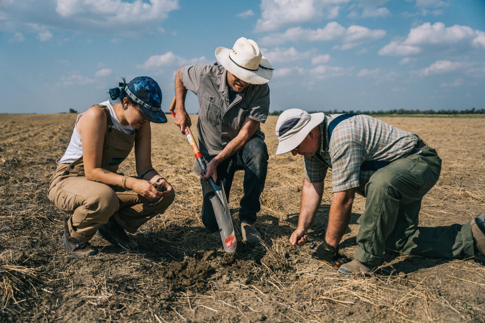 regenerative-agriculture’s-biggest-developments-in-2024-—-and-what-they-mean-for-2025