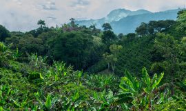 Can Colombia fulfill the promise of becoming an agrifoodtech powerhouse?