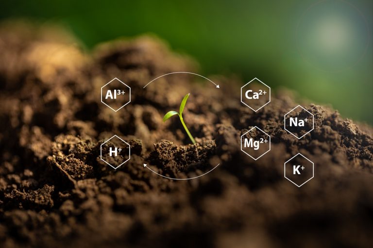 Read more about the article Base Cation Saturation Ratio (BCSR): Pros, Cons & Comparison