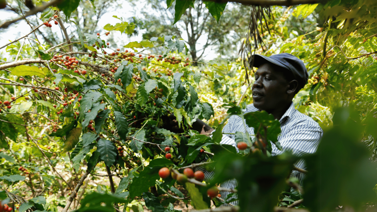 Read more about the article Why National Biodiversity Plans Must Integrate Agriculture – Farming First