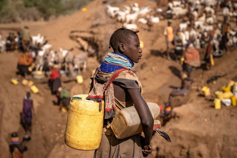 Read more about the article Gender equality cannot be last on the agenda at COP29 climate talks – Farming First