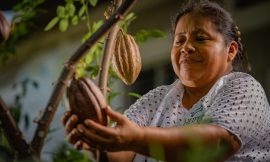 Heifer International Urges Response for Farmers in Latin America