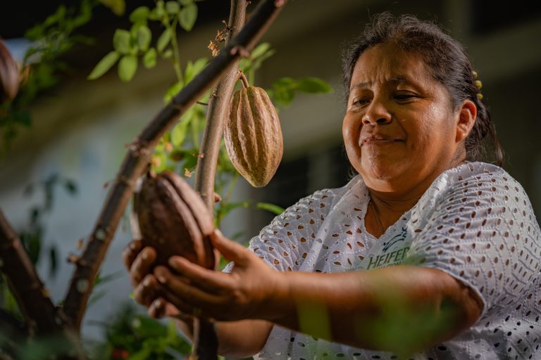 Read more about the article Heifer International Urges Response for Farmers in Latin America