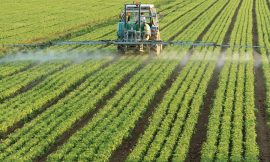 Understanding Pesticide Mode of Action | Cropaia