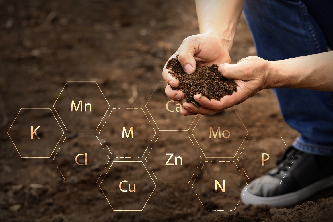 understanding-soil-extraction-methods-|-guy-sela-|-cropaia