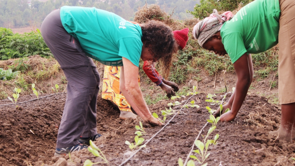 how-proper-seed-certification-protects-both-farmers-and-food-security-–-farming-first