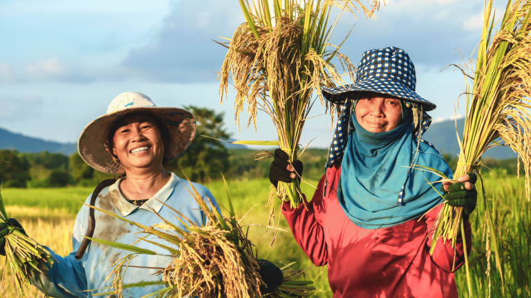 Read more about the article Hybrid Rice: A Path Forward For Climate-Smart Agriculture – Farming First